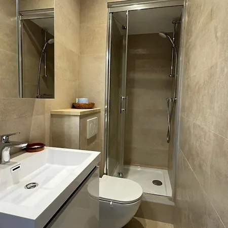 Cosy Centre Avec Wifi Et Animaux Acceptes - Fr-1-555-106 Apartment Aix-les-Bains